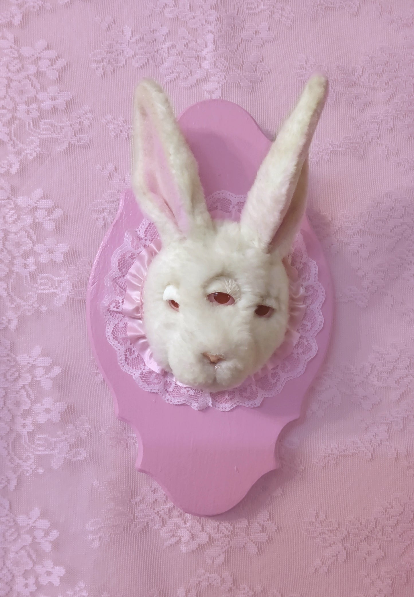 Pre-Order Faux Taxidermy Bunny Plaque